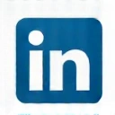 Icona LinkedIn